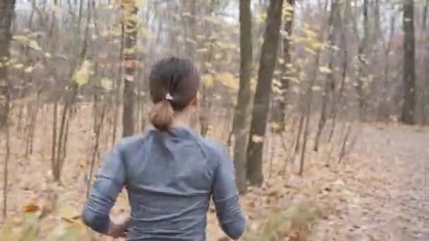 El lado posterior sigue la vista de la joven entrenando duro para maratón. Correr en el bosque antes del trabajo — Vídeos de Stock