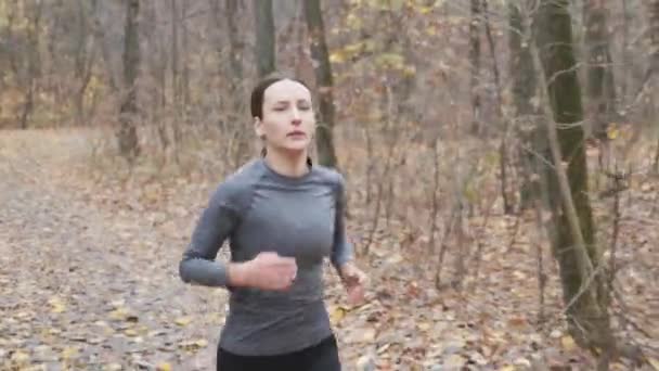 Front view of fit and slim girl running in the park in autumn. Marathon race concept — ストック動画