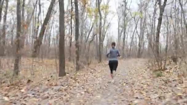 Retour suivre la vue de la femme joufflue courant dans le parc se préparant pour le marathon portant des vêtements de sport noirs et gris — Video