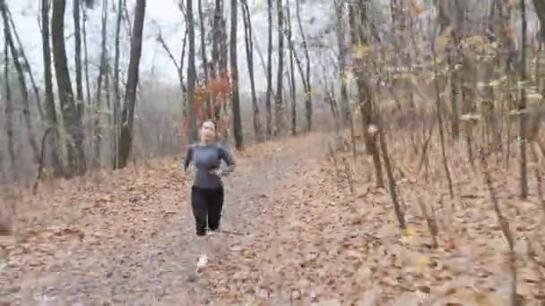 Een jong slank meisje dat hardloopoefeningen doet in het herfstbos. Loopconcept — Stockvideo