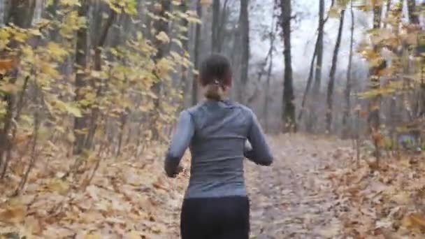 Nő fogyni a mindennapi futás edzés a parkban munka előtt. Futási koncepció — Stock videók