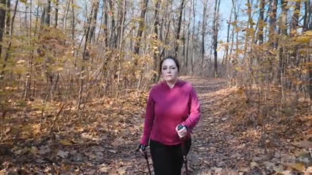 Nordic walking in het herfstbos. Jonge mollige vrouwelijke training met sportstokken in het stadspark — Stockvideo