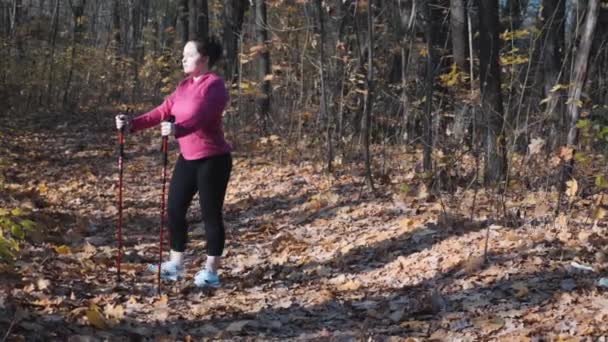 Jovem mulher com sobrepeso bonito com pólos de caminhada nórdicos que se alongam antes do treinamento intenso — Vídeo de Stock