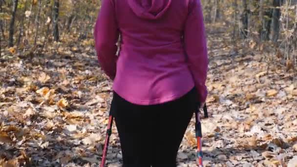 Concepto nórdico de caminar. Mujer regordeta con bastones nórdicos entrenando en bosque o parque otoñal. Concepto de pérdida de peso — Vídeos de Stock