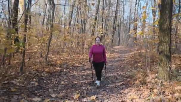 ぽっちゃり女性は、体重減少プログラムの一環として秋の公園でノルディックウォーキングレクリエーションプログラムを行っています — ストック動画