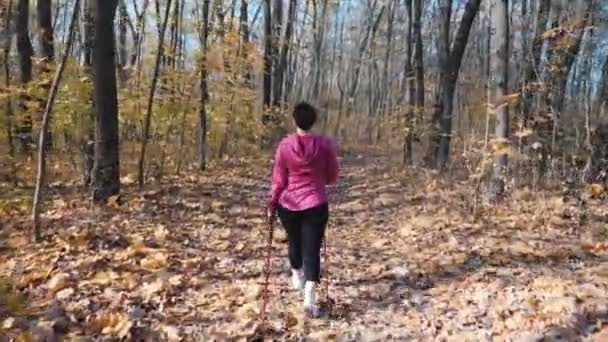 Caminar nórdico. Hermosa mujer gordita haciendo ejercicio diario antes del trabajo en el parque de otoño de la ciudad . — Vídeos de Stock