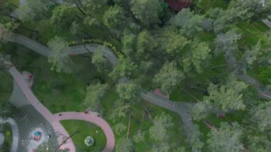 Yeşil şehir parkında oynayan, bisiklete binen, çocuk parkında oynayan ve eğlenen çocuklar. İnsansız hava aracı park alanındaki çam ağaçlarının üzerinde uçuyor.