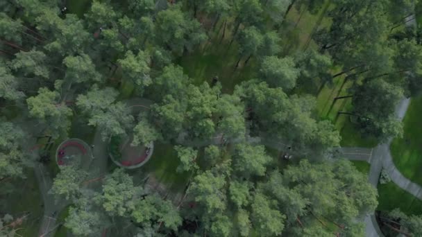 O víkendu moderní zelený městský park. Lidé odpočívají, procházejí se po stezkách a odpočívají v parku obklopeni velkými borovicemi, letecký výhled shora. Krásný výhled na nový zelený park uprostřed města — Stock video