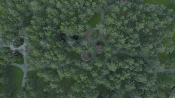 Parco cittadino con alberi verdi e sentieri dalla vista a volo d'uccello. Drone vola sopra il parco verde con passerelle e persone che camminano — Video Stock