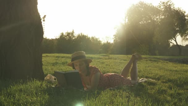 Aranyos nő retro ruhában, kockás talajon fekszik a parkban napnyugtakor és könyvet olvas. Fiatal hölgy feküdt kockás réten, közel a nagy fa és élvezi a nyári szünet hétvégén. Lány ruha pihentető a parkban — Stock videók