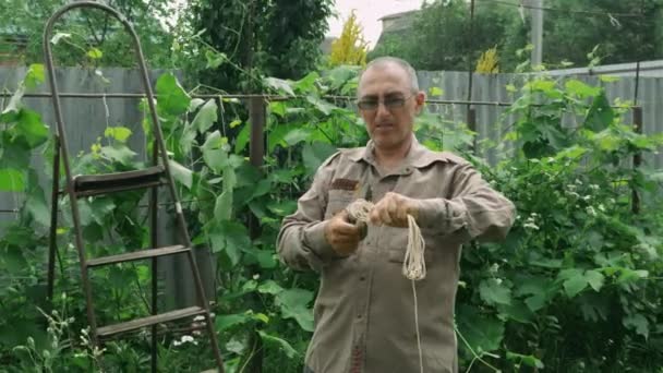 Idősebb fehér férfi a kertben. Férfi, metszőollóval a kezében, aki a kertben dolgozik. Mezőgazdasági munkák gyümölcsösben