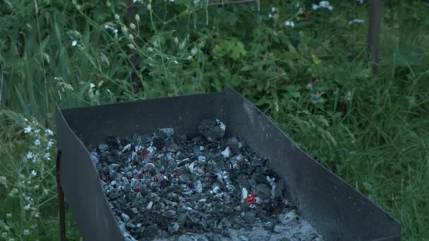 生鱼片放在烤肉烤架上.一家人在外面野餐。女人在户外夏季烧烤时把鱼放在烤架上烤.烤肉架上的鱼准备烤鱼。在烧烤烤架上烤腌鱼. — 图库视频影像