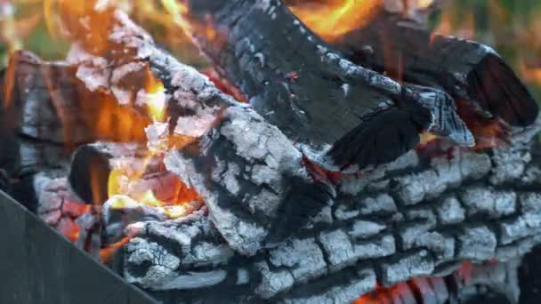 Alevler içinde yanan odunlara yaklaş. Barbekü ızgarasında odun yakıyorum. Yanan odunlar. Kömürler ızgarada yanıyor. Ateş odun mangalda kömüre dönüştürür. — Stok video