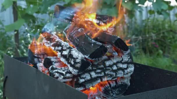 Leña quemándose en parrilla de barbacoa. Leña y carbones quemándose en la parrilla de barbacoa. Fuego furioso en la parrilla. Quemando troncos. Troncos quemados en llamas de fuego. Un tronco de madera ardiendo. Embers de la leña ardiendo en fuego — Vídeo de stock