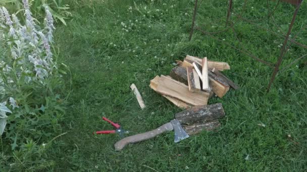 Brennholz auf dem Gras. Holzscheit mit Axt mit Gras auf Hintergrund hacken — Stockvideo
