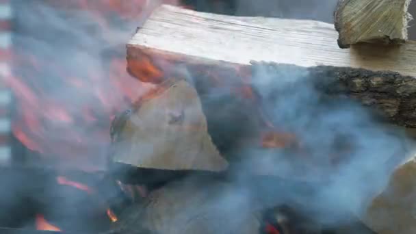 グリルで炭火焼。たき火の木燃焼。バーベキューグリル炎の火。薪がバーベキューに燃える。グリルのたき火の炎を閉じます — ストック動画