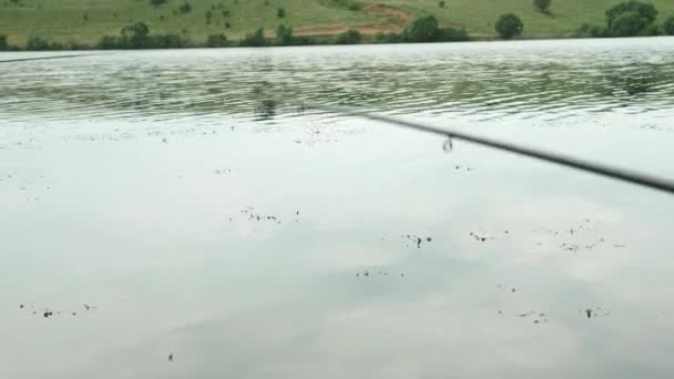 Seorang pria mengambil rumput laut menggunakan pancing dari air. Sungai memancing. Memancing di danau. Dekat dari pancing dengan pancing — Stok Video