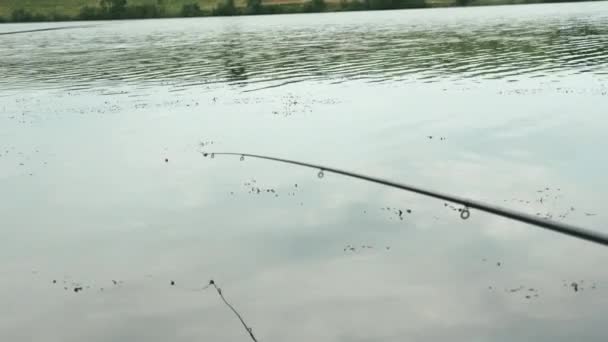 在湖中或河里有钓鱼线的钓竿。河上钓鱼业余爱好钓鱼的概念。渔民的生活方式 — 图库视频影像