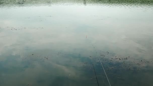 Man catching fish on lake. Fishing float in water. Fishing rod on water. Fishing rod with river water on background. Fisherman fishing fish — Stock Video