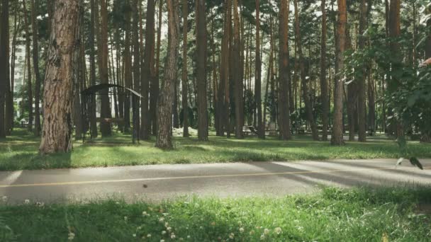 Flickan ramlar av en skateboard. Ung kvinna som lär sig åka skridskor på skateboard utomhus. Hipster kvinna i ledig klädsel rida på skateboard i parken. Skateboard i parken — Stockvideo