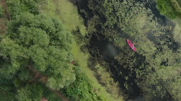 Actividad de aventura. Deportes acuáticos. Viaje de vacaciones el fin de semana. La mujer está explorando el río en kayak en verano. La hembra está navegando en canoa a través de hermosos paisajes. Remo Deportivo. Chica es kayak en el agua a lo largo del río — Vídeo de stock