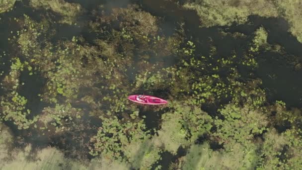 Frau schwimmt im Boot im Urlaub, Drohnenblick. Touristin erkundet Fluss im Kajak. Reisenden Mädchen ist Kajak fahren im Freien. Wasserreisen. Sportrudern. Entdeckungsabenteuer am Wochenende — Stockvideo