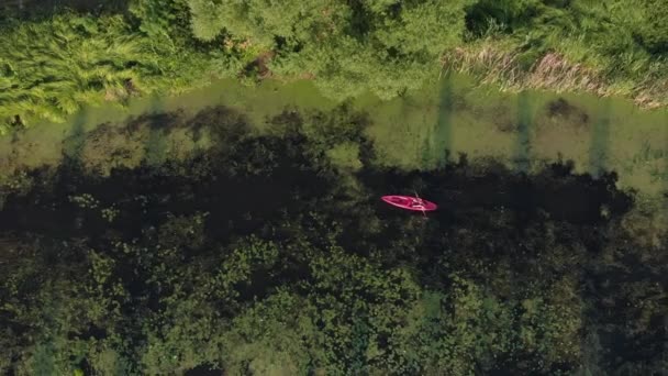Chica viajero está explorando el río en kayak al atardecer, vista superior del dron. La mujer está haciendo kayak en verano. La hembra está flotando en canoa en el río. Agua viajando. Turista deportivo flota en barco en fin de semana — Vídeos de Stock