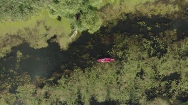 Nehir suyunda kanoyla kürek çeken bir kadın. Dişi, kanoyla sakin nehri keşfediyor. Tatillerde maceralar. Su turizmi. Sportif kız yazın teknede yüzüyor. Turist kanosu nehri geçiyor.