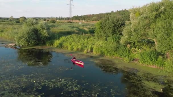 Drone vista de kayak femenino en el río al atardecer. Mujer fitness flota en canoa a lo largo del río en verano. Chica turista está viajando en barco en fin de semana de vacaciones. Remo deportivo. Turismo acuático — Vídeo de stock