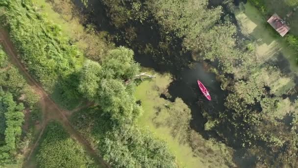 Kayak en el río. Viajante en canoa por un río tranquilo. Mujer está explorando hermoso paisaje en barco. La mujer está haciendo kayak en barco. Turismo acuático. Aventuras en vacaciones de verano, vista al dron — Vídeo de stock