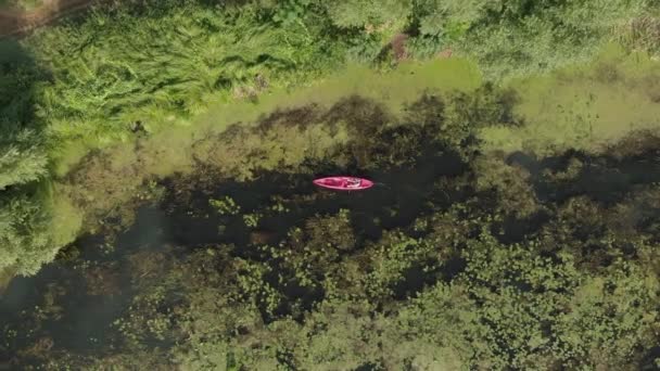 Drone vue de dessus de la femme flottant en kayak sur la rivière. kayak touristique féminin au coucher du soleil. Fille en bateau sur la rivière pendant les vacances d'été. Tourisme aquatique. Dame sportive voyageant en canot sur la rivière — Video