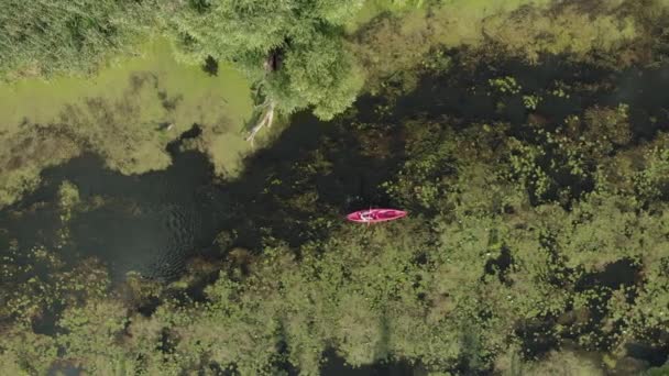 Mujer remando en kayak en el agua del río. Mujer explorando río tranquilo en canoa. Aventuras en vacaciones. Turismo acuático. Chica deportiva flotando en el barco en verano. Kayak turístico a través del río — Vídeos de Stock