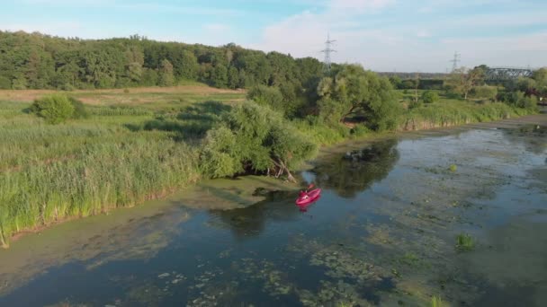 Drone bovenaanzicht van vrouw drijvend in boot op de rivier op zonnige zomerdag. Vrouwelijke reiziger kajakt op het meer. Meisje verkent het prachtige landschap in kano in de zomer. Watertoerisme. Sport roeien — Stockvideo