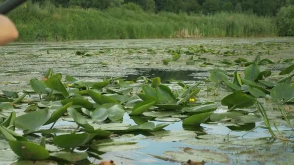 Lugn vacker flod med lotusblommor, närbild. Kajakåra paddlar i lugnt vatten på sjön. Äventyrsverksamhet. Vattenturism. Sportrodd. Flicka utforskar flod i kanot under sommarresan — Stockvideo