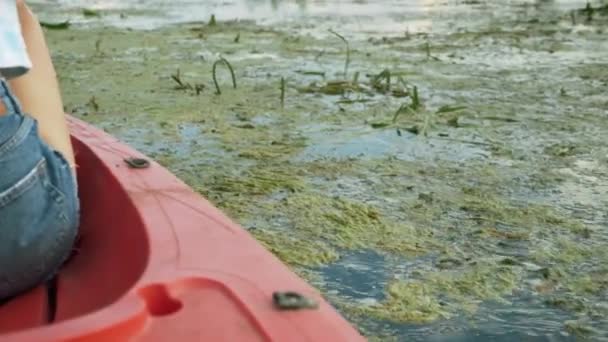 Закрыть весло, цепляющееся за морские водоросли в воде. Греби на веслах по реке. Каякское весло гремит в воде. Женщины гребут веслами в лодке. Самка плавает на каяке по реке в солнечный день. Водный спорт. водный туризм — стоковое видео