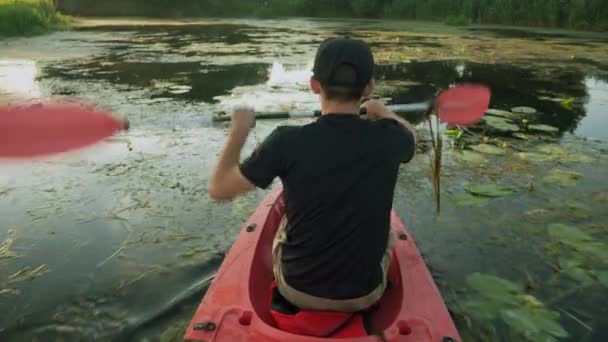 Fitness manliga turisten paddlar kajak i röd kanot längs lugna floden vid solnedgången. Unge man flyter i båt på sjön på sommaren. Aktiv turist forsränning i kajak på lugn flod under sommarlovet — Stockvideo