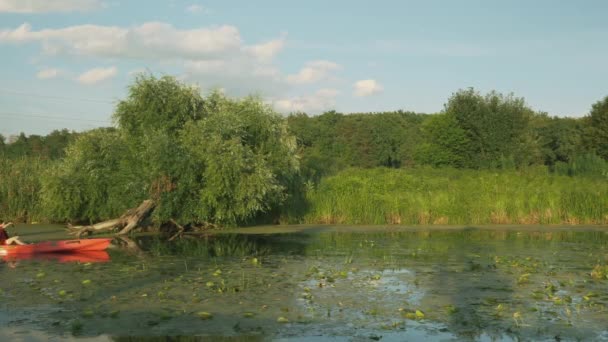 Fitness vrouw drijft in kajak bij zonsondergang. Brunette vrouwtje vaart in de zomer in kano langs de rivier. Meisje toerist brengt zomervakantie op de rivier, het ontdekken van prachtige natuur landschap — Stockvideo