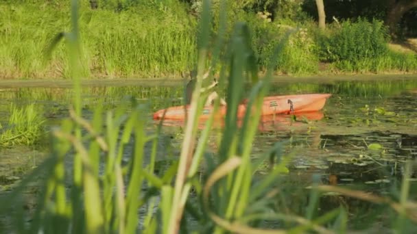 Joven deportista es kayak en canoa roja en el río en verano. Fitness turista masculino está explorando el río en kayak durante las vacaciones de verano. El viajero flota en barco en el lago. Turismo acuático. Remo deportivo — Vídeos de Stock