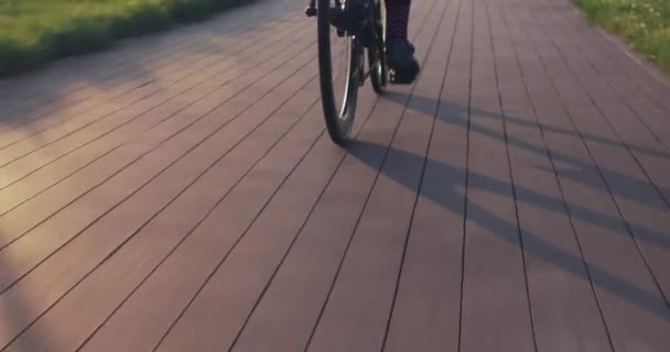 Rowerzysta pedałuje po ścieżce rowerowej w parku o zachodzie słońca. System biegów roweru drogowego. Obrót koła rowerowego. Kobieta kręci pedałami na rowerze. Koło zębate. Łańcuch rowerowy i kaseta. Szkolenie rowerowe — Wideo stockowe