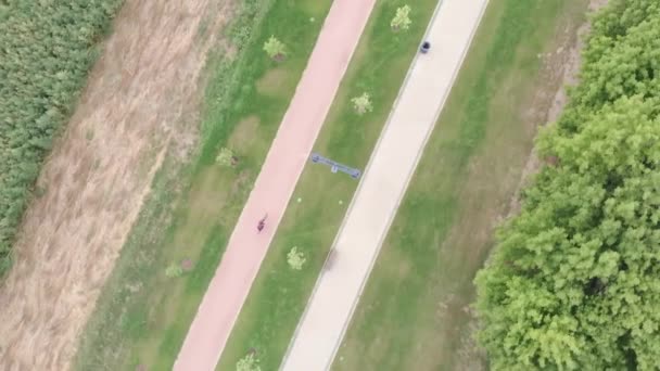 Top drone vista di ciclismo ragazza cavalca sulla pista ciclabile. Donna ciclista sta pedalando su aero bici da strada lungo la passeggiata in estate. L'atleta triatleta sta girando in bicicletta durante l'allenamento in bicicletta — Video Stock