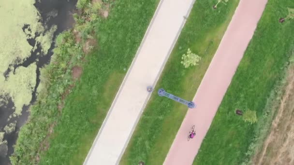 トライアスリートの女性は、公園内のサイクルパスでサイクリングトレーニングを行い、自転車競技、ドローンビューの準備をしています。女性アスリートは夏に自転車に乗っている。女の子は遊歩道で自転車に乗る — ストック動画