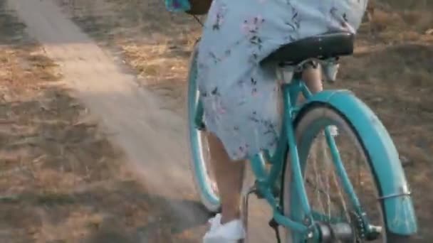 女人在阳光下骑着老式复古自行车在草地路上旋转踏板。夏天,女腿在田里骑老式自行车.户外假期愉快。骑自行车愉快 — 图库视频影像