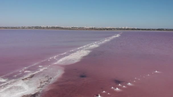 Παλιοί σωροί αλατιού στις ακτές της εκβολής του Kuyalnik. Έννοια της υπερθέρμανσης του πλανήτη. Όμορφη Kuyalnik Liman, Οδησσός, Μαύρη Θάλασσα με ροζ νερό και αλάτι — Αρχείο Βίντεο