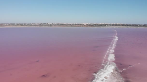 Ongelooflijk roze zoute zand van Kuyalnik estuarium, Odessa, Oekraïne. Zwarte Zee Kuyalnik estuarium. Drogen estuarium, water gekleurd met alg Dunaliella salina — Stockvideo
