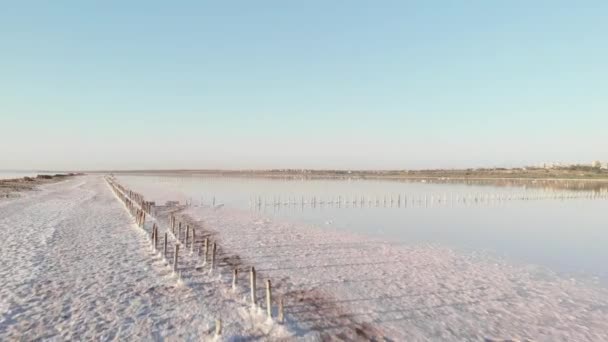 Saltkust med gamla trästolpar vid Kuyalniks mynning. Kristalliserat salt på Kuyalnik Limans strand nära Odessa. Gamla träkonstruktioner, saltutvinning på 1700-talet — Stockvideo