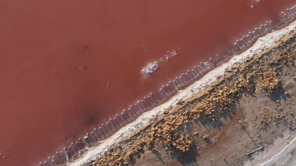 Hypersaline water waaruit zout wordt gewonnen, Kuyalnik estuarium. De meest zoute riviermonding in Oekraïne en Europa, vanuit de lucht gezien. Verlaten zoutmeer met houten palen in water — Stockvideo