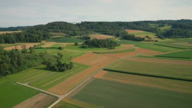 Hava aracı görüşünden yeşil tarım alanları. Yazın hasat edilen yeşil tarlaların üzerinde uçmak