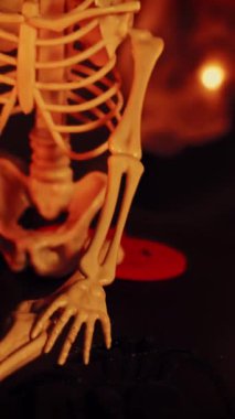 Karanlık odada ürkütücü yüzlü ve iskeletli Cadılar Bayramı süslemeli balkabağı yakmak. Cadılar Bayramı sergisi. Mumlar, yarasalar, iskeletler ve örümceklerden alevler. Dikey video