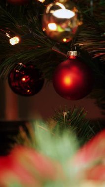 Noel ağacını renkli toplar ve aydınlatma ile kapatın. Dikey video