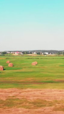 Samanlıkta saman yığını. Hasat edilen tarlada altın sarısı saman balyaları. Samanlığa sarılmış saman tarlanın her yerinde. Dikey video